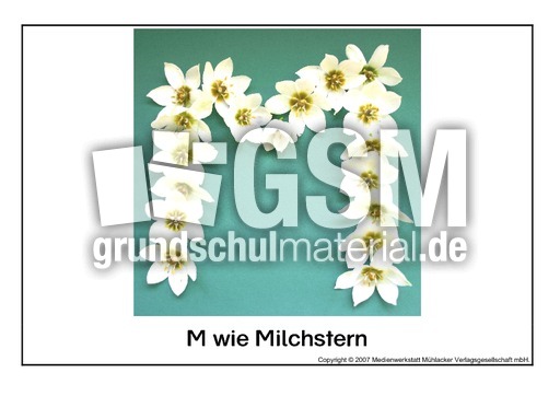 M-wie-Milchstern.pdf